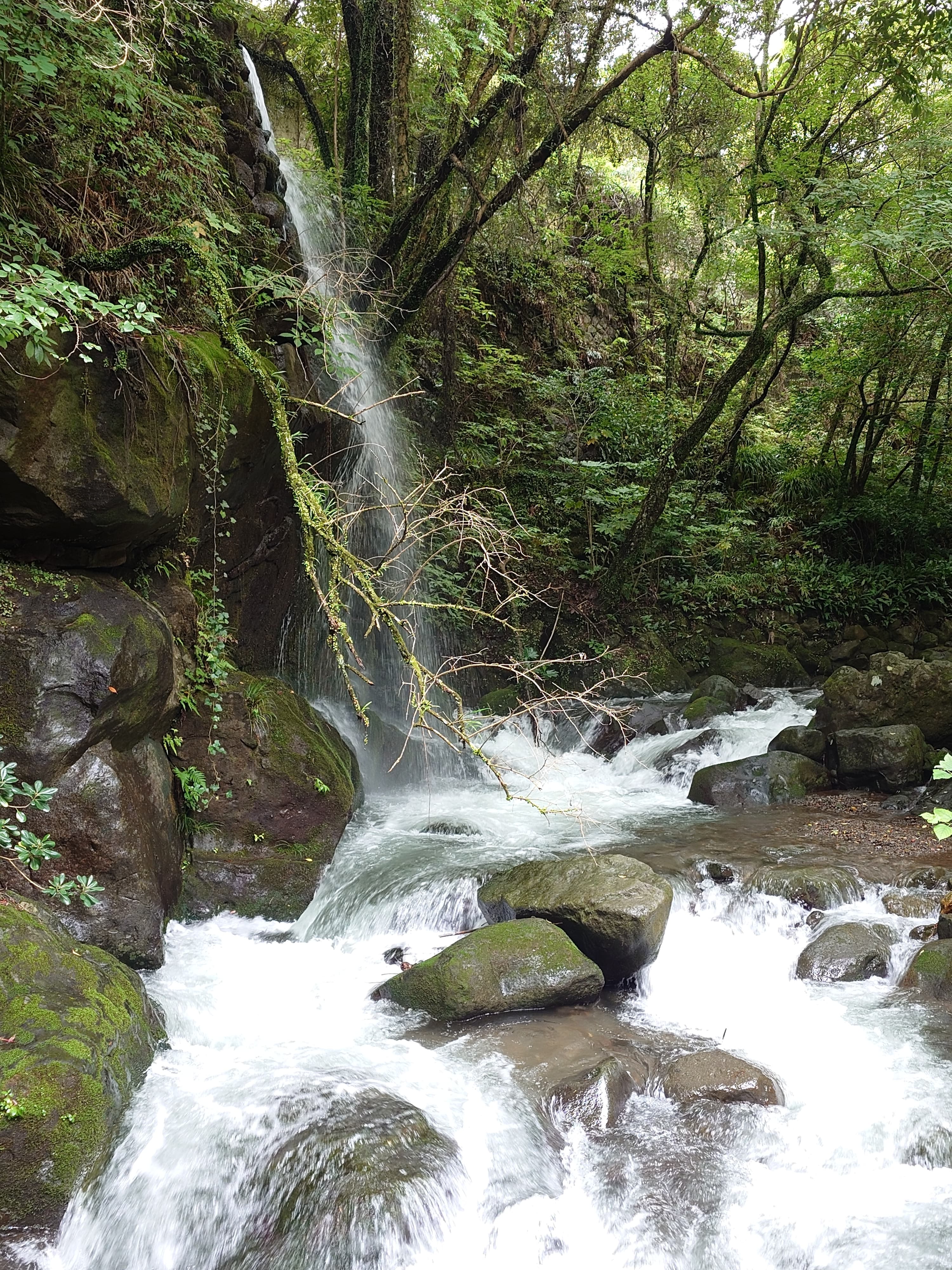 万葉公園の滝と川